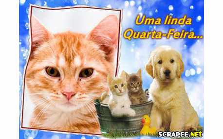 Moldura - Cachorrinho