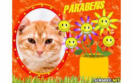 Moldura - Parabens Pra Vc