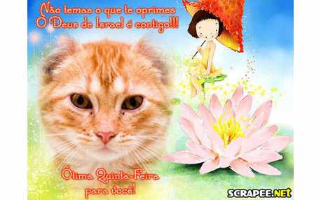 Moldura - Personagem Infantil