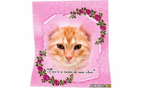 Moldura - Alma Gemea