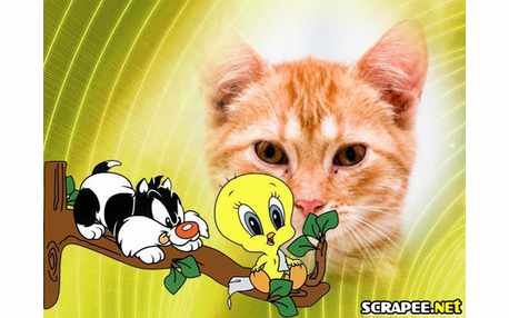 Moldura - Frajola E Piu Piu