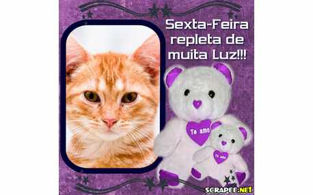 Moldura - Ursinho Roxo