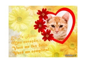 Moldura - Meu Coracao Me Completa