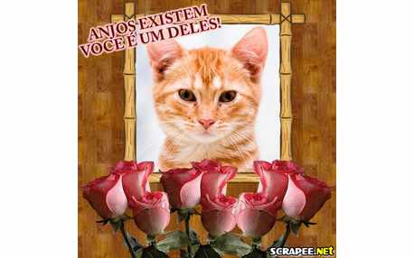 Moldura - Anjos Existem