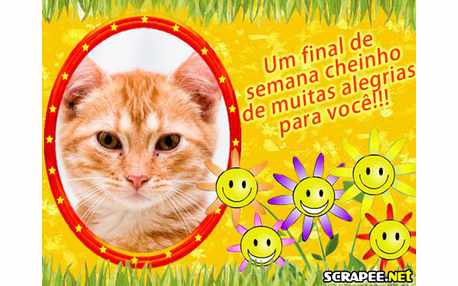 Moldura - Final De Semana