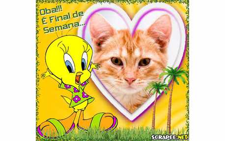 Moldura - Piu Piu 2010