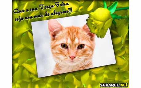 Moldura - Mar De Alegria