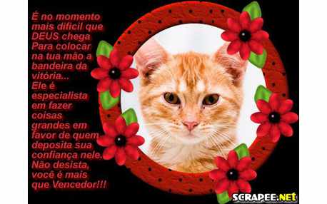 Moldura - Bandeira Da Vitoria