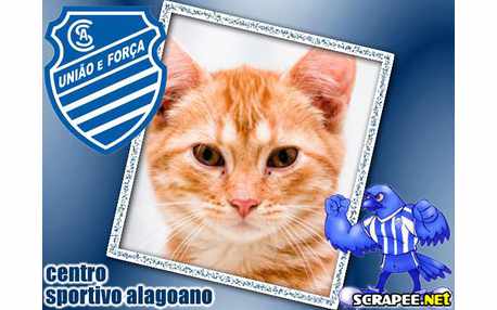 Moldura - Centro Sportivo Alagoano