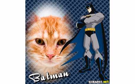 Moldura - Batman
