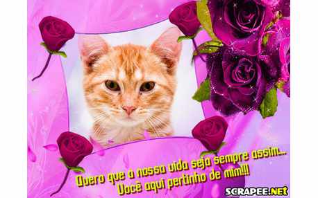 Moldura - Frase De Amor