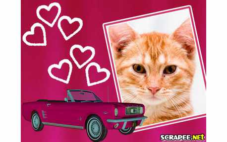 Moldura - Carro Cor De Rosa