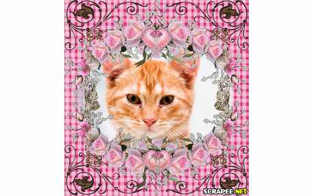 Moldura - Moldura Florida