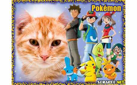 Moldura - Pokemon