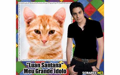 Moldura - Luan Santana