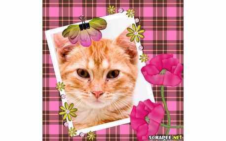 Moldura - Cartao Maravilhoso