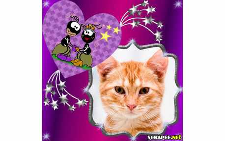 Moldura - Smiliguido