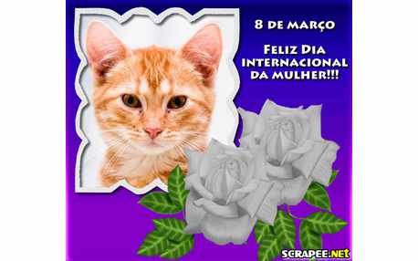 Moldura -  Internacional Da Mulher