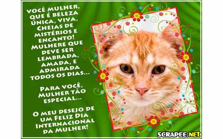Moldura - Mensagem Dia Da Mulher