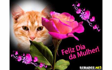 Moldura - Dia Da Mulher