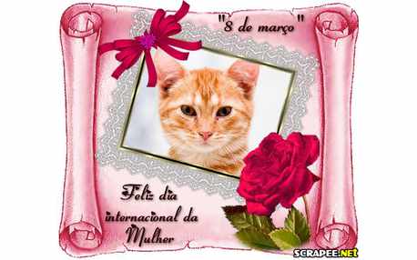 Moldura - Dia Internacional Da Mulher