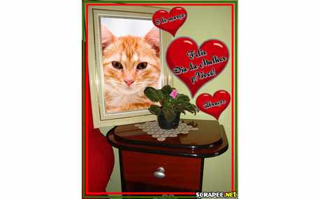 Moldura - 8 De Marco