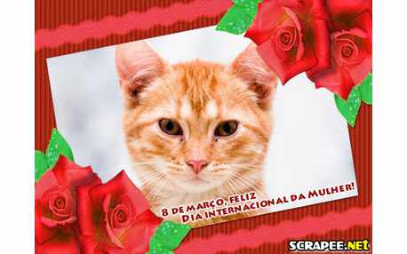 Moldura - Dia Das Mulheres