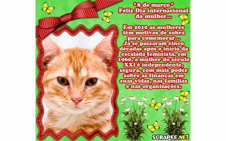 Moldura - Parabens Mulher