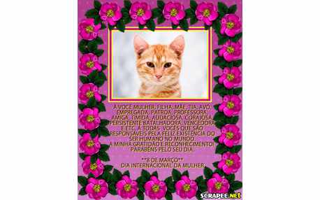 Moldura - Mulheres Vencedoras