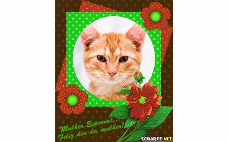 Moldura - Mulher Especial