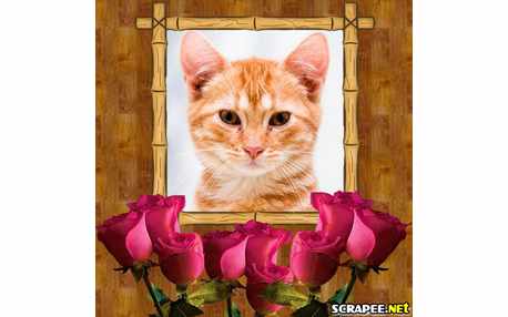 Moldura - Botoes De Rosa