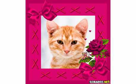 Moldura - Moldura De Flor