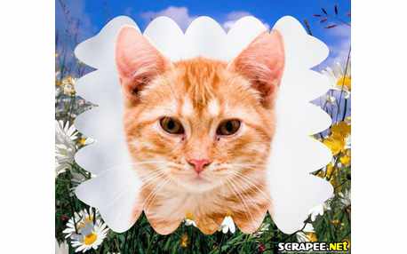 Moldura - Borda De Paizagem