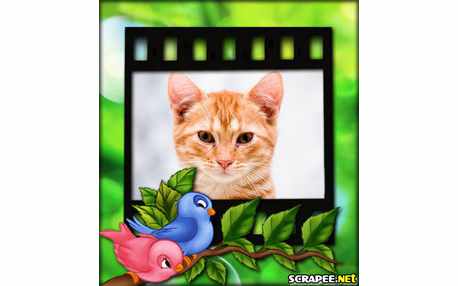 Moldura - Passarinhos