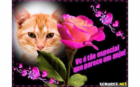 Moldura - Lindo Elogio