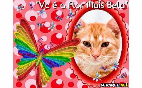 Moldura - Moldura De Cantada