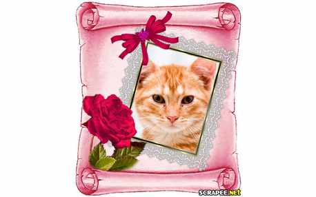 Moldura - Cartao Com Foto