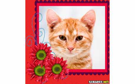 Moldura - Flor Vermelha