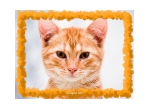 Moldura - Moldura Alaranjada