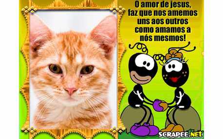 Moldura - Smiliguido