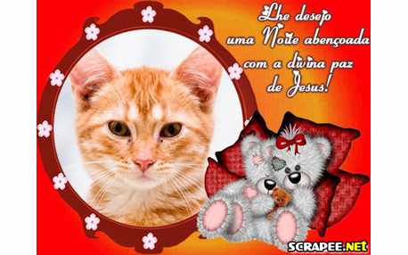 Moldura - Paz De Jesus