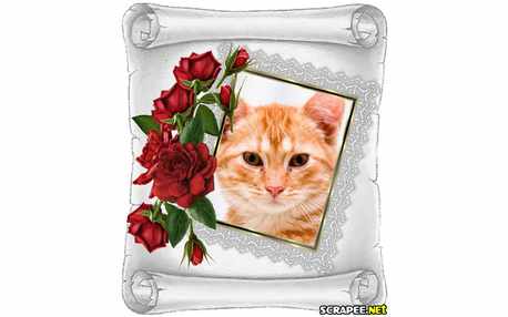 Moldura - Arranjo De Rosas