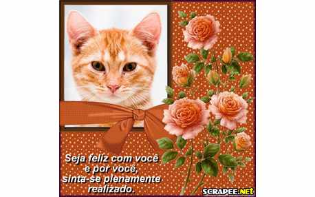 Moldura - Frase De Motivacao