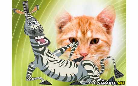 Moldura - Mandagascar