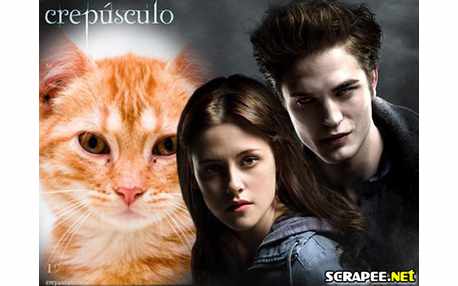 Moldura - Crepusculo