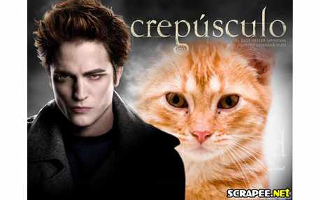 Moldura - Crepusculo