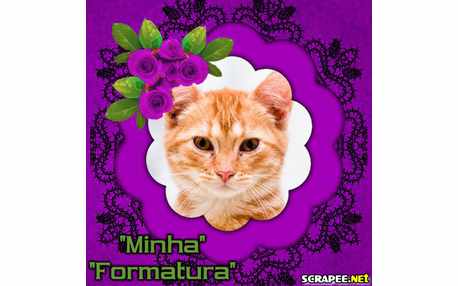 Moldura - Montagem De Formatura