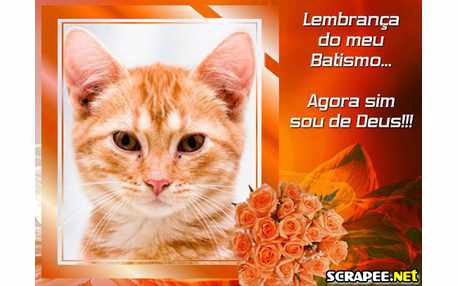 Moldura - Batismo Evangelico