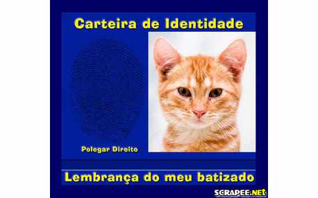 Moldura - Carteira De Identidade