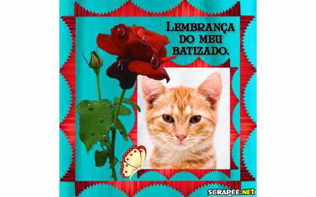 Moldura - Montagem Para Batizado